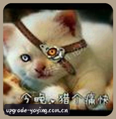周鹏